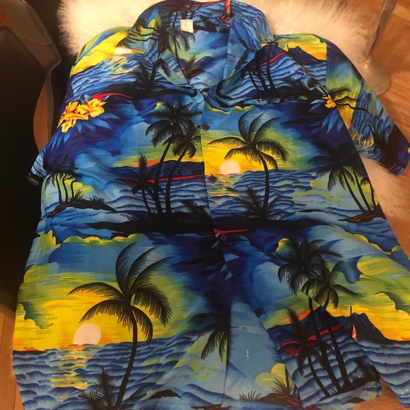 EUC Gorgeous Paradise Clothing Rare Vintage mens Hawaiian Shirt in Size Large!! - Picture 5 of 7